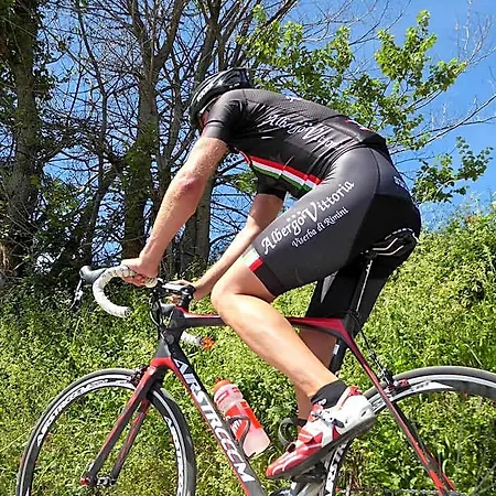 Vittoria 3*
