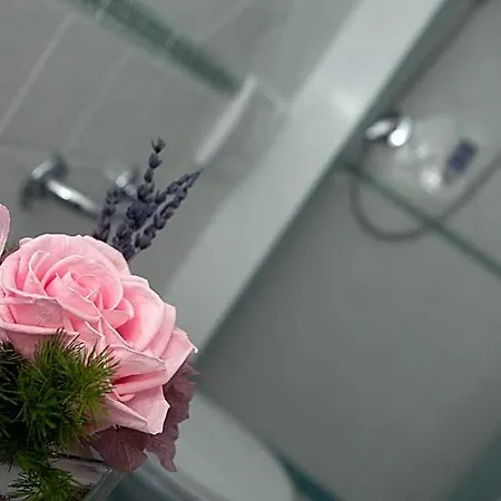 Hotel Vittoria Rimini