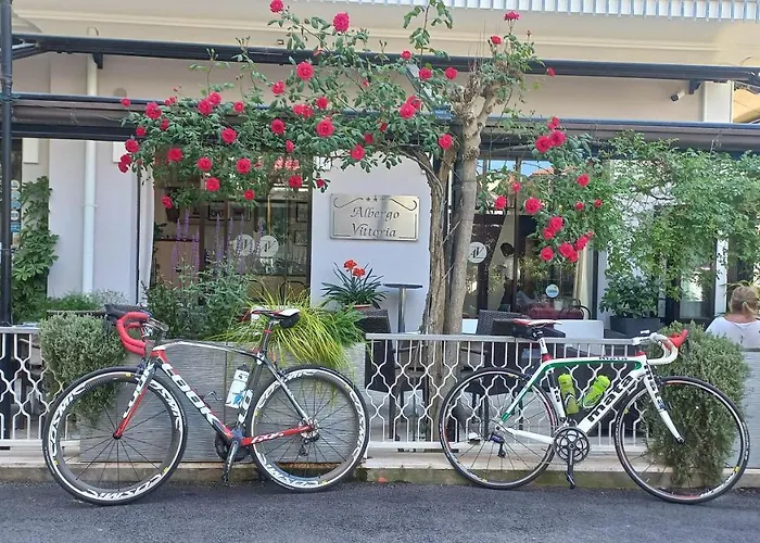 Hotel Vittoria 3*